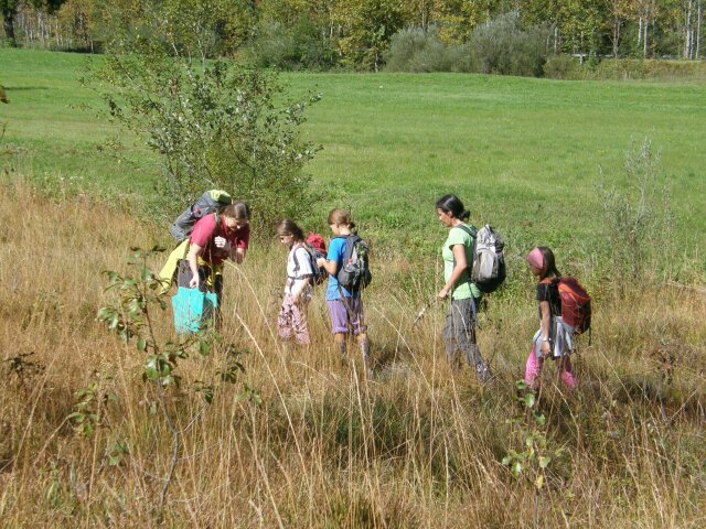 Kinder mit Naturpädagogischer Begleitung im Simonmoor auf der Suche von Fleischfressenden Pflanzen